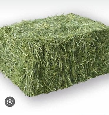 Сено в тюках (прессованное, прямоугольные тюки) - Натуральная