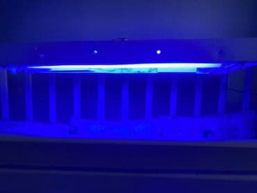 аренда лампа для лечения желтухи новорожденных: ‼️срочно продаю Фото лампа от желтухи. Покупали новый пользовались — 3