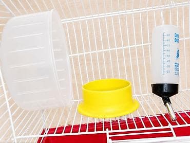 купить клетку для кролика: Продам клетку для мелких грызунов 🐹 Подойдет для хомяка, мышки — 3