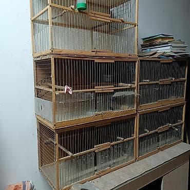 Зоотовары: Продаю клетки для декоротивных птиц длина 60см ширина 35см высота — 1