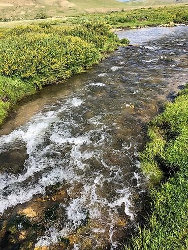 кымыз лечение: Кумысолечение в Суусамырской долине. Чистый воздух, натуральная еда — 10