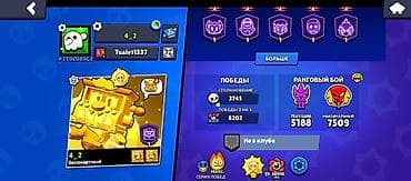 3d проектор: Аккаунт Brawl Stars Основное: - Путь к славе: 76 649 трофеев (рекорд — 3