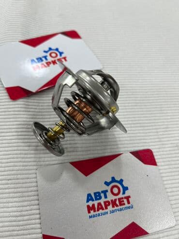 v4: Термостат Lexus 2009 г., Новый — 1