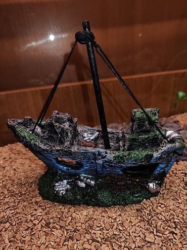 террариум: Террариум для гекконов, сцинков и других ящериц, полностью — 7