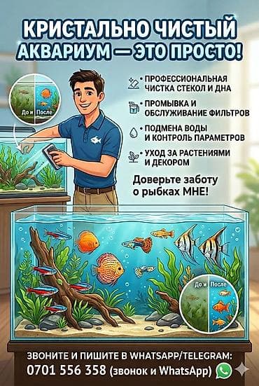 Другие услуги: Профессиональный уход за аквариумами - Кристально чистые стёкла и — 1