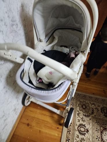 twin: 2 коляски по цене одной все в хорошем состоянии фирминные в домашем — 3
