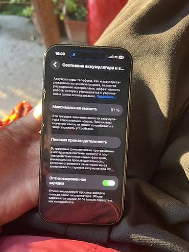 швейный отходы: IPhone 14 Pro, Б/у, 256 ГБ, Черный, Чехол, 81 % — 3