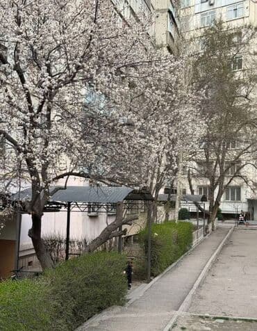 106 серия квартиры 3 комнатная сколько квадратов: 3 комнаты, 70 м², 106 серия, 8 этаж, Косметический ремонт — 9