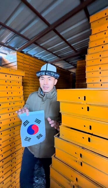 бур садовый: Сдам в аренду Утюги, Строительные леса, Опалубки — 1