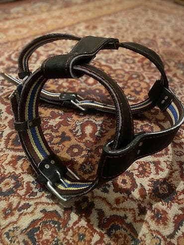 Аквариумы: Плечевая шлея/упряжь для собаки - Конструкция: широкие кожаные ремни — 1