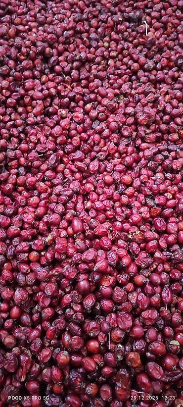 бутун турция: Продаю шиповник очищенный больше тонны — 1