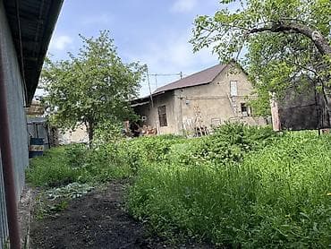 интернациональное: Продается участок с жилым домом. Все правоустанавливающие документы — 4