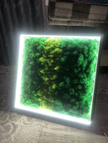 кызыл май свечи в бишкеке: МОХ — 2