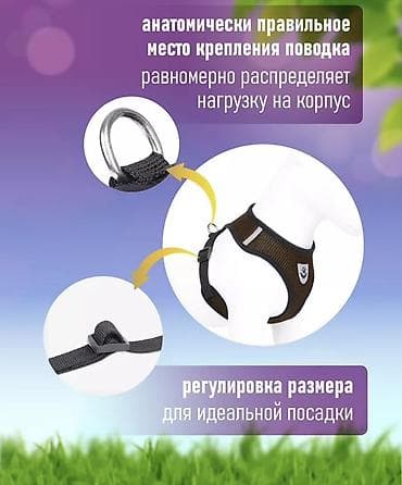поводок для собак: Продаю шлейка для собак или кошек + поводок В идеальном состоянии - — 9