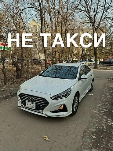 стоп соната: Hyundai Sonata: 2017 г., 2 л, Автомат, Газ — 1