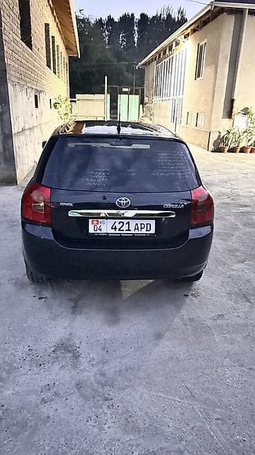 Унаа сатуу: Toyota Corolla: 2002 г., 1.6 л, Кол менен иштөөчү, Бензин, Хетчбек — 4
