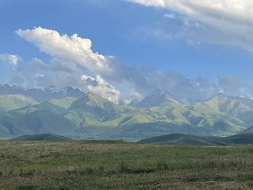 кровля крышы: Широкоформатная печать, | Картины — 2