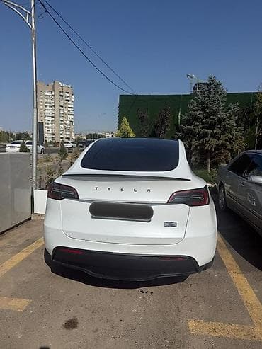 platform ok: Tesla Model Y: 2023 г., Автомат, Электромобиль, Кроссовер — 2