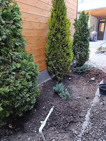 себет той: GreenScape — ландшафтный дизайн и благоустройство Профессиональное — 3