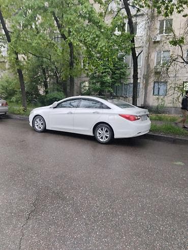 желтый соната: Hyundai Sonata: 2010 г., 2 л, Автомат, Газ, Седан — 4