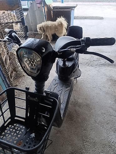 Мотороллеры муравей: Электрический скутер-городской минибайк - Компактная электрическая — 1