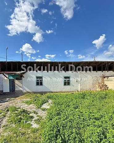 сон куль: 4 соток — 1