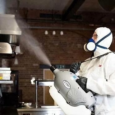 Клининговые услуги: Дезинфекция, дезинсекция, | Блохи, Вирусы, микробы, Клопы, | Квартиры, Подъезды, Транспорт — 4
