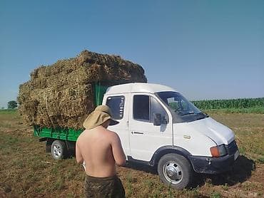 селхос зил: ГАЗ GAZel: 1998 г., 2.9 л, Дизель, Пикап — 1