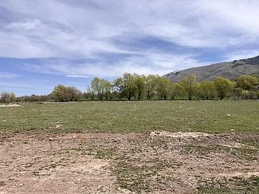 вишня токмок: 5 соток, Для строительства — 3