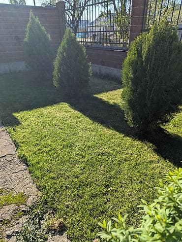 Ландшафт под ключ: Создаем сады, которые вдохновляют. Газон и — 2