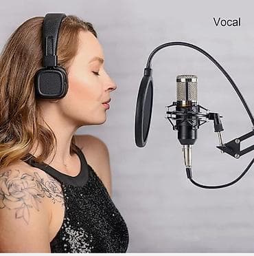 звуковые карты esi: Профессиональный конденсаторный микрофон ZINGYOU — Твой шаг к — 1