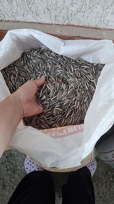 место для овощей: Семечки подсолнечника, неочищенные, для посева - Крупные полосатые — 2