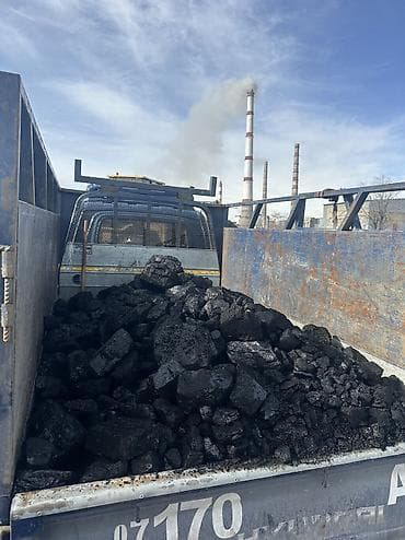 Бакча эмереги: Уголь шабыркуль Кара-кече — 3