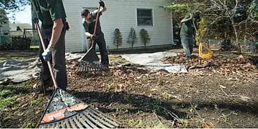 Стирка, прачечная: Уборка территории, Уборка двора и сада — 1