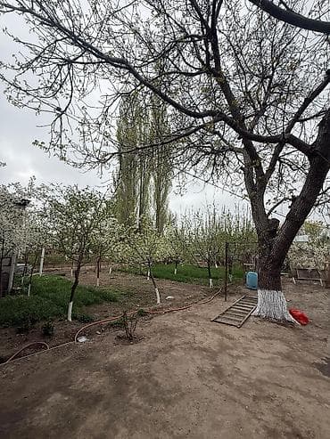 аренда с последующим: Продам дом 1.5 100квм этажный плюс рядом времянка с ремонтом на 60кв2 — 5