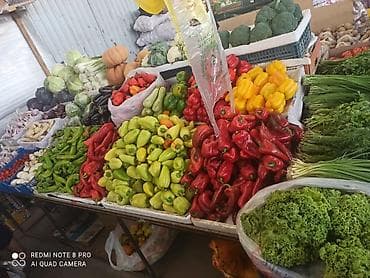 бананы: Фрукты и овощи — широкий ассортимент Свежая продукция на прилавке: - — 1