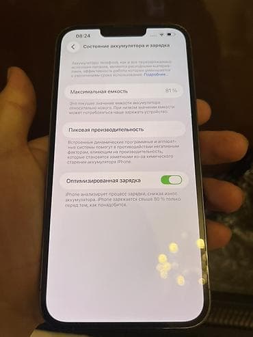 IPhone 13 Pro Max, Sierra Blue, 81 %