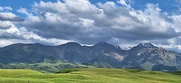 каражыгач дом: 300 соток, Договор купли-продажи — 2