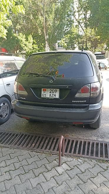 Lexus: Lexus RX: 2002 г., Автомат, Кроссовер — 4