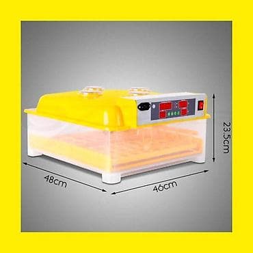 Өндүрүш үчүн жабдуулар: Мини Инкубаторлор Сатылат Ошго Доставка БишкекРоссия Инкубаторлор — 10