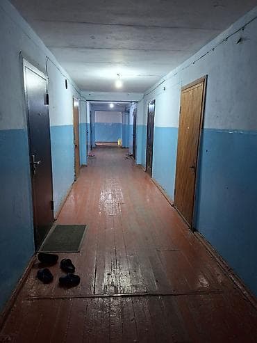 возле дороги: 16 м², С мебелью — 5