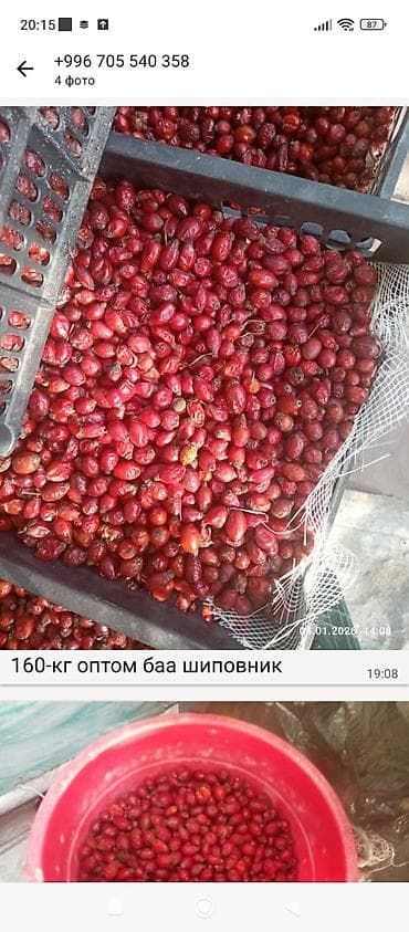 Шиповник сушёный, опт 130 кг. - Натуральные плоды шиповника