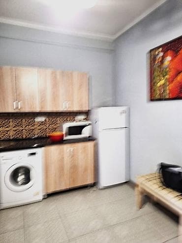 Батирлер: 2 бөлмө, Менчик ээси, Чогуу жашоосу жок, Толугу менен эмереги бар — 8