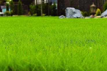 Работа: 🌱Я садовник сеем газон с нуля посев газон садовник выезд — 10