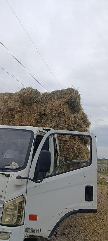 фонарик мощный купить: Грузовик, Foton, Стандарт, 5 т — 5