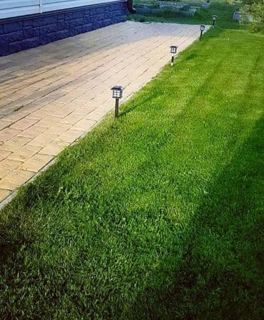 продажа рассады: 🌱Посев газона 
🌱Сеем газон — 1