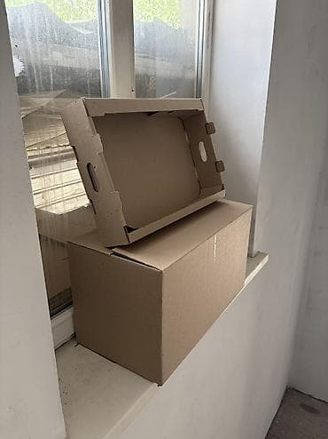 пластиковый ящик для овощей: Коробка, 45 см x 30 см x 15 см — 3