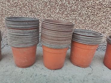 банки маленькие купить: Набор квадратных пластиковых горшков для рассады и саженцев 2л-40 с, 3 — 9