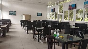 бассейн вада: База отдыха у озера/водоёма с собственным песчаным пляжем. Что — 8