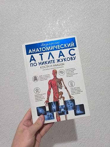 Популярный анатомический атлас по Никите Жукову: кости и мышцы -
